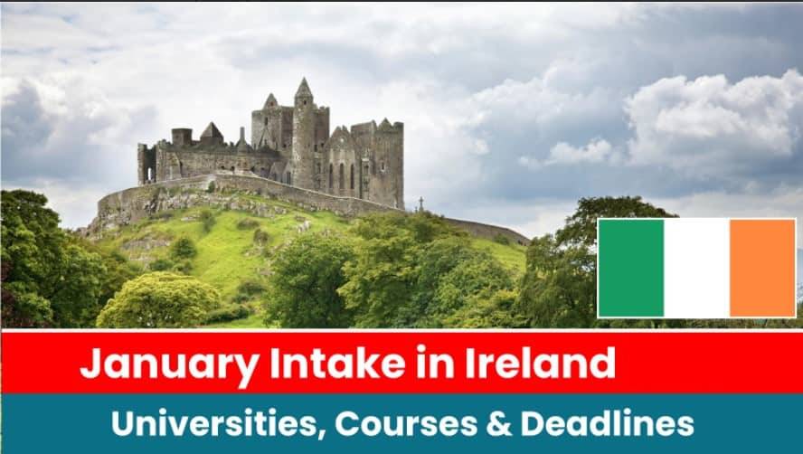 January Intake in Ireland 2