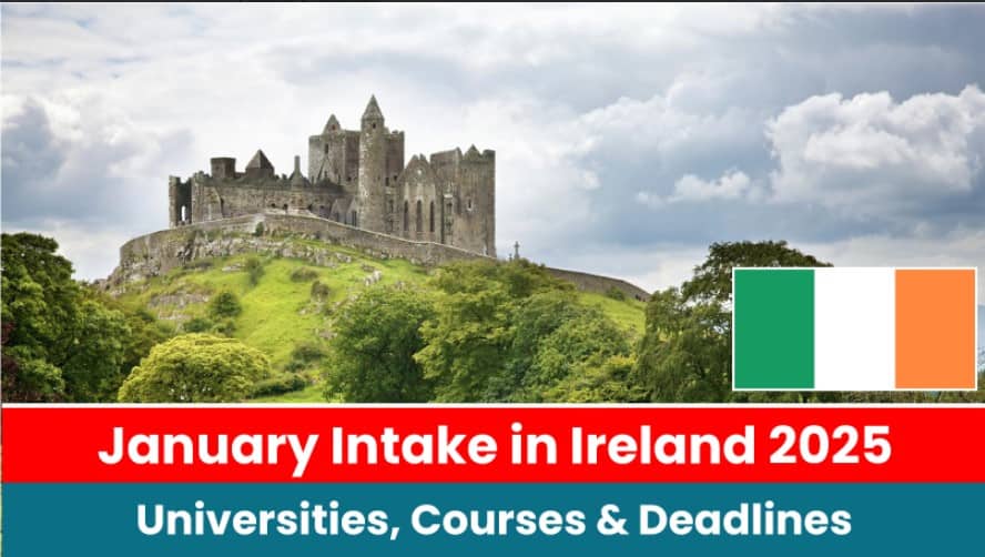 January intake in Ireland