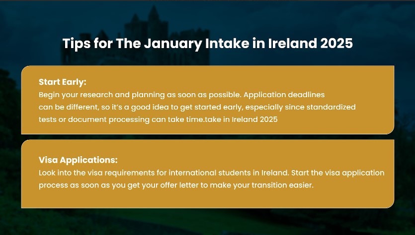 Application Process for The January Intake in Ireland